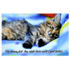 A cat is laying on top of the bed.