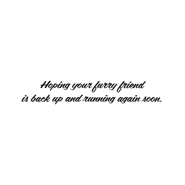 A card with the words " helping your furry friend is back up and running again soon ".