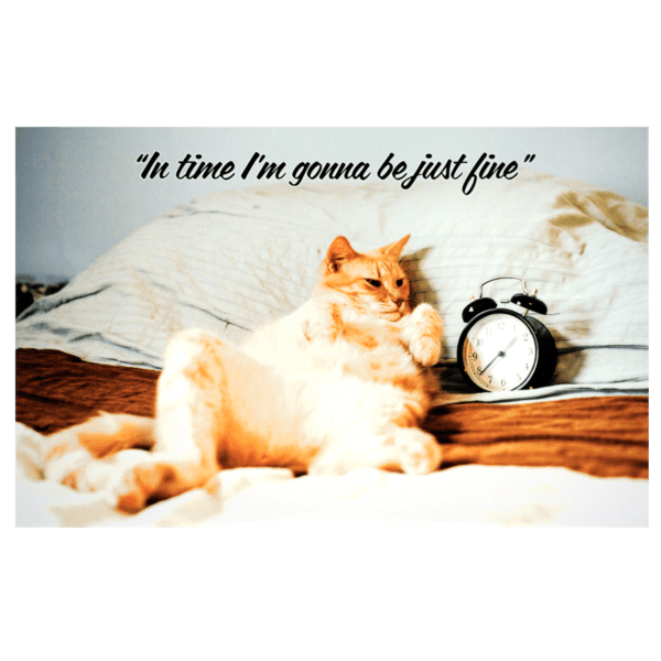 A cat sitting on top of a bed next to an alarm clock.