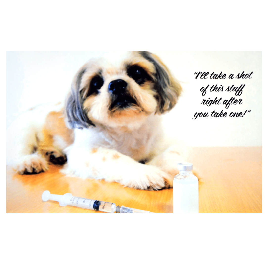 A dog sitting on the floor with a syringe in front of it.