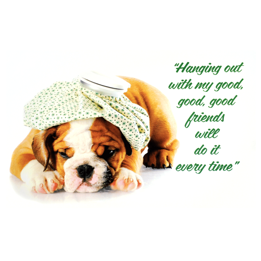 A dog with a bow on its head and quote