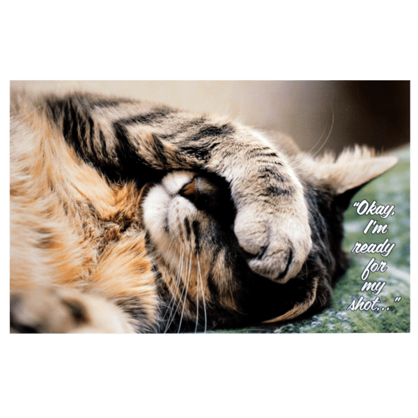 A cat laying on its side with it's paw in the air.