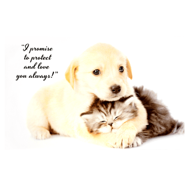 A puppy and kitten are cuddling with the caption " i promise to protect and love you always ".