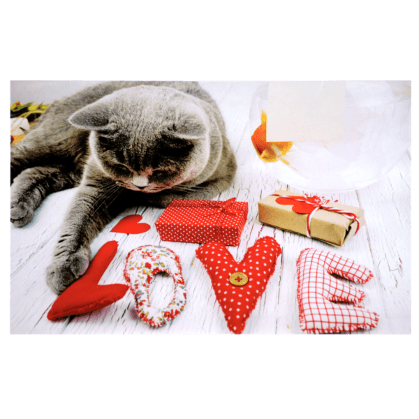 A cat laying on the ground with love spelled out in fabric.