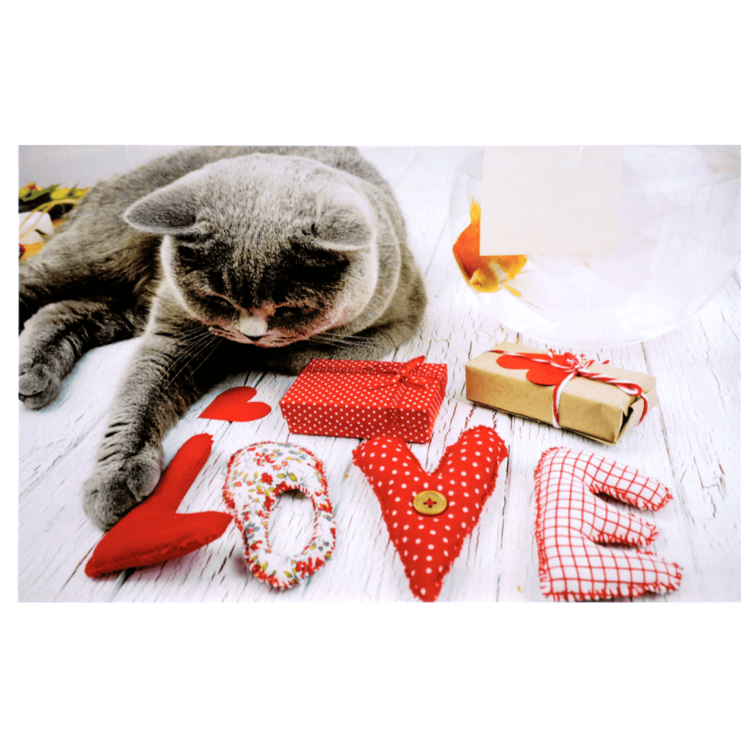 A cat laying on the ground with love spelled out in fabric.