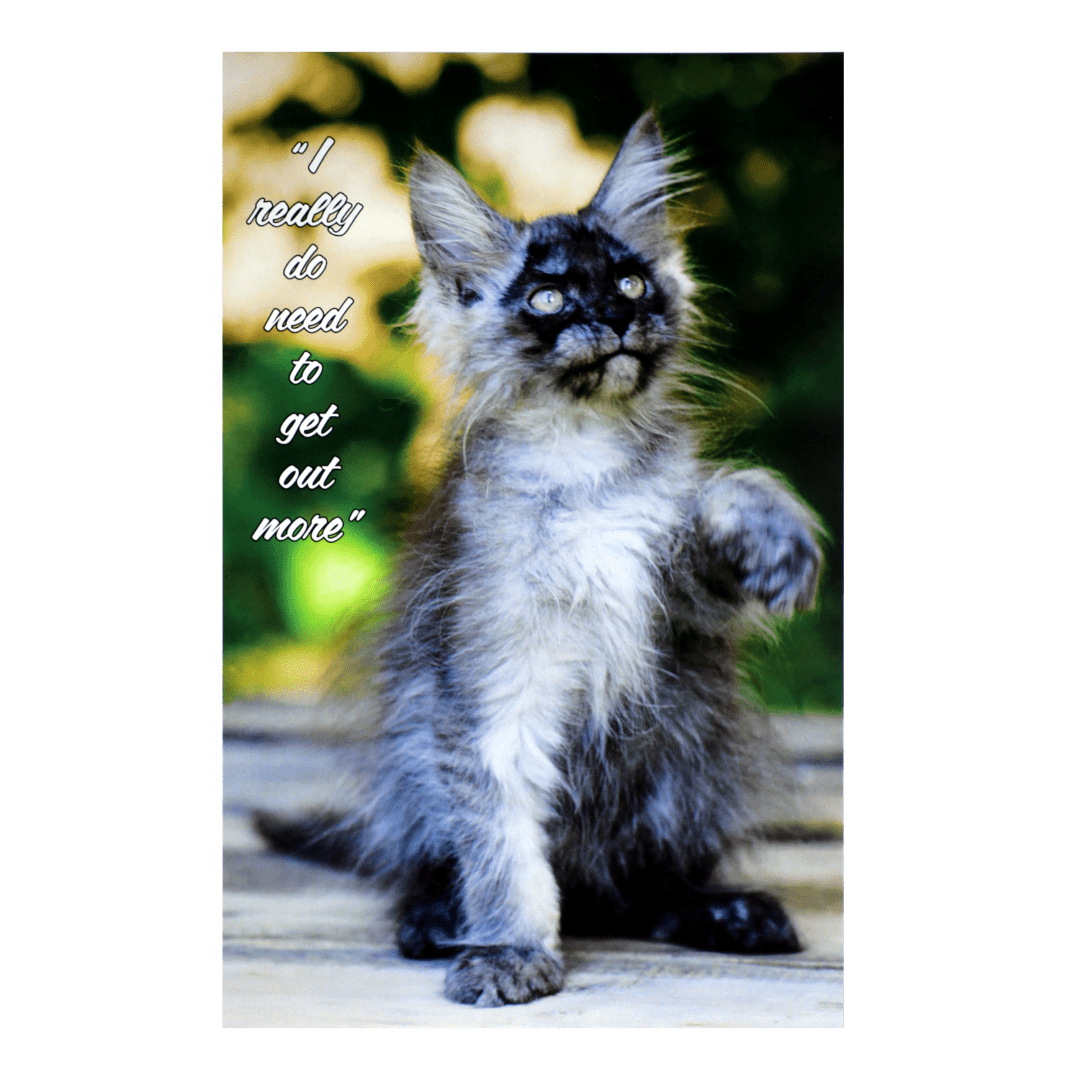 A cat standing on its hind legs with the caption " hope you 're not alone ".