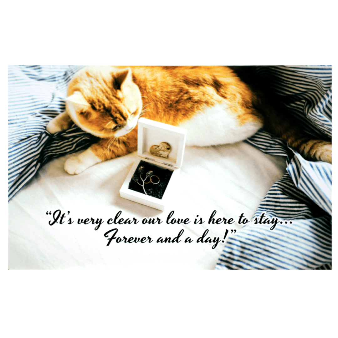 A cat laying on the ground with a box of jewelry.