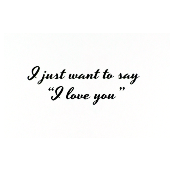 A card with the words " i just want to say " and " i love you ".