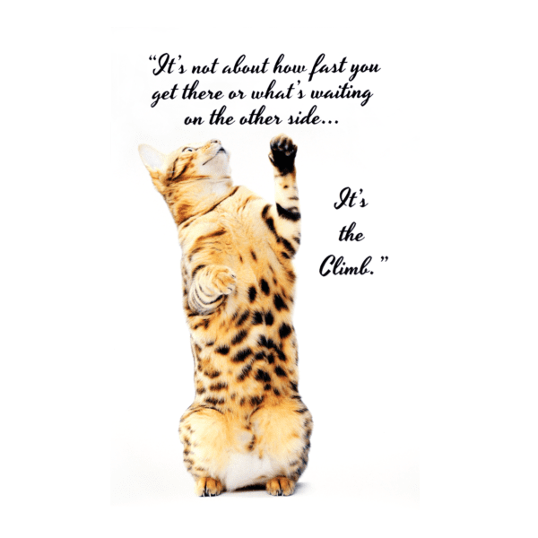 A cat standing on its hind legs with a quote.