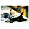 A cat and dog are laying on the ground.