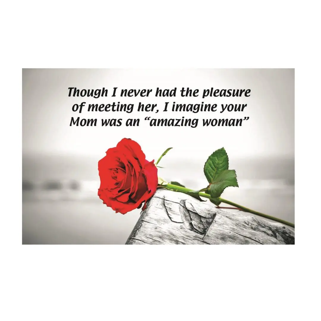 A red rose with a quote on it.