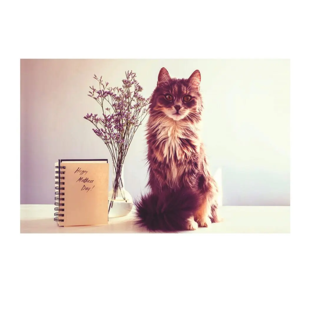 A cat sitting next to a vase and book.