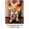 A dog wearing a tie and rainbow socks.