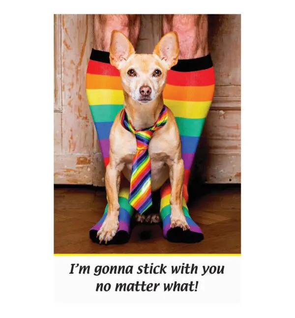 A dog wearing a tie and rainbow socks.