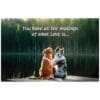 A dog and cat sitting on the ground with trees in the background.