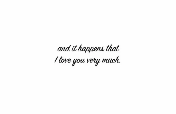 A quote that reads " and it happens that i love you very much ".