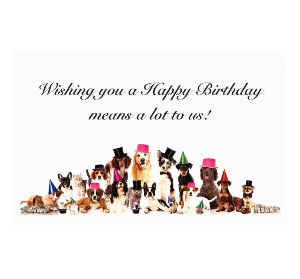 A birthday card with dogs and cats wearing hats.