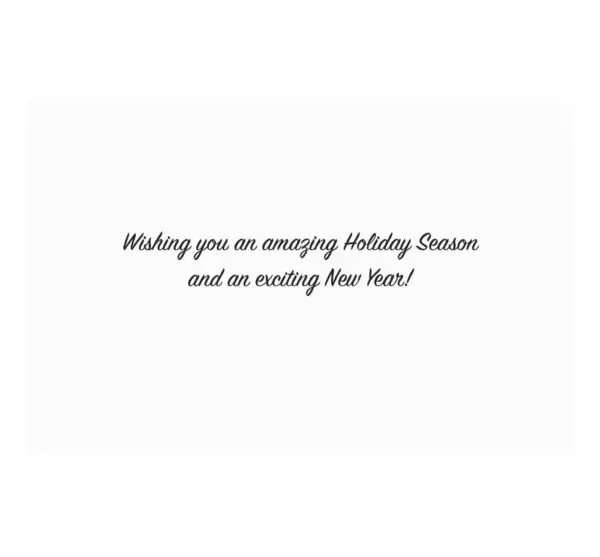 A card with the words " wishing you an amazing holiday season and an exciting new year ".