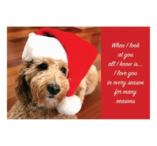 A dog wearing a santa hat with a quote.