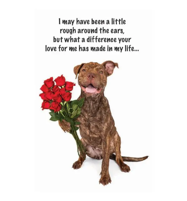 A dog holding flowers with a quote on it.