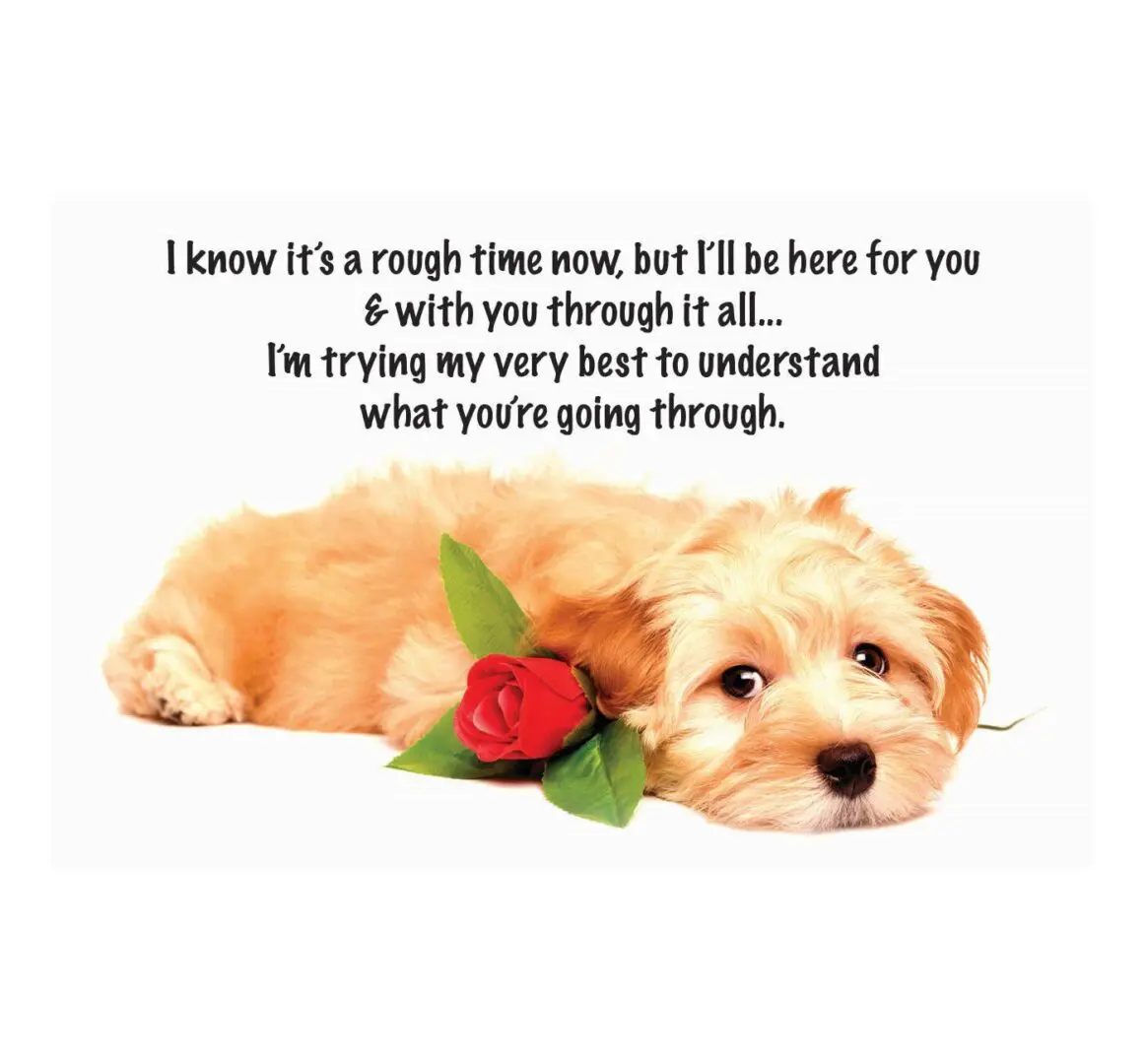 A puppy with a rose in its mouth and the quote " i know it's a rough time now, but i 'll be here for you