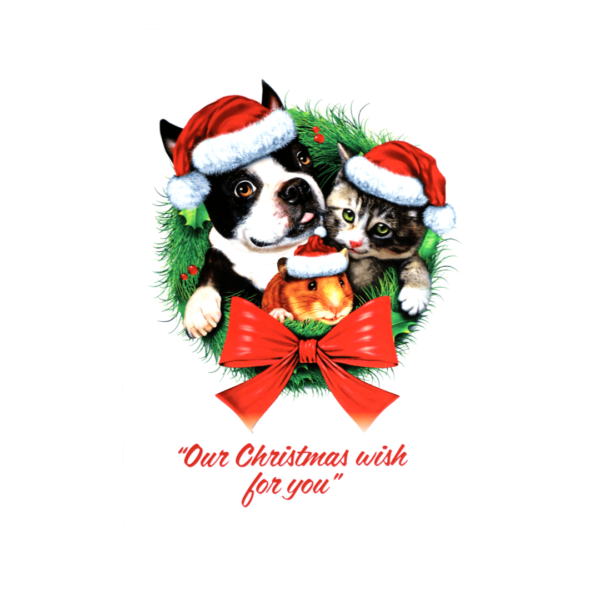 Our Christmas wish