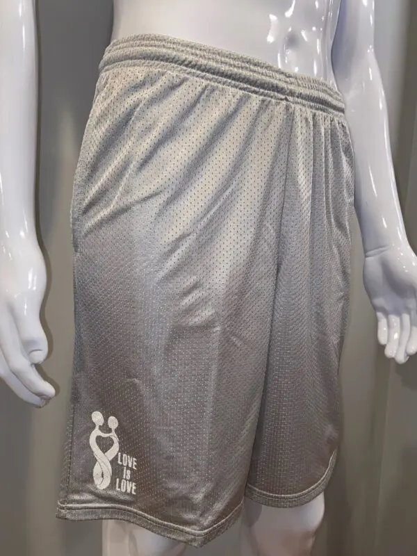 A close up of the front of a silver athletic pants.