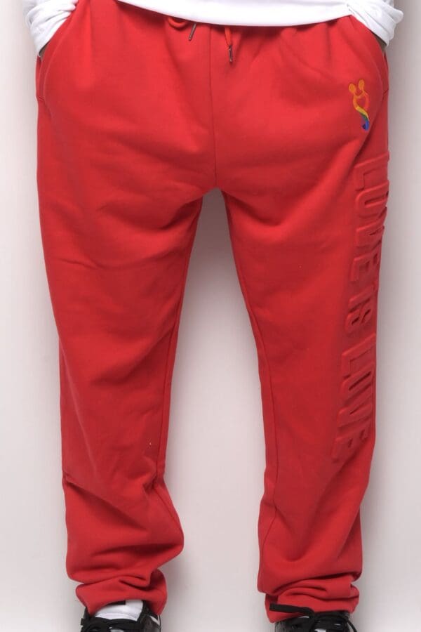 A red pair of pants is shown with the words " detroit " on it.